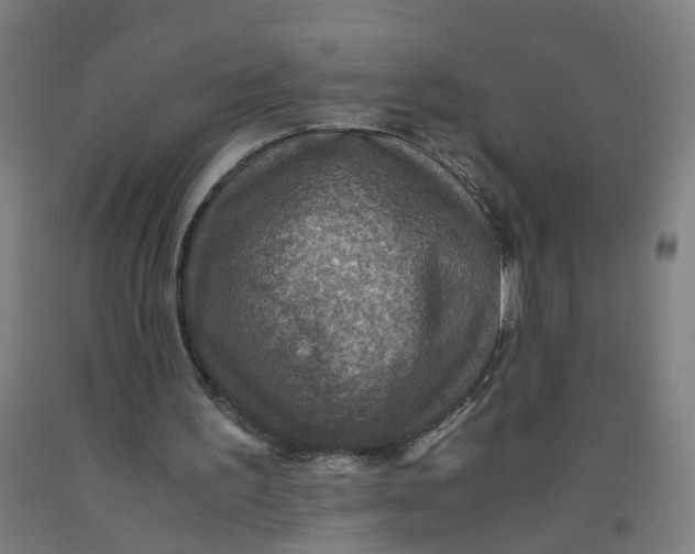 X0000091960195200709271354