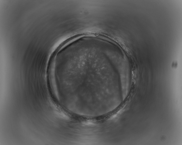 X0000091960196200709271353