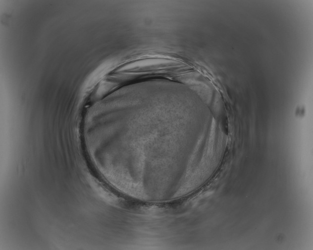 X0000091960197200709271353