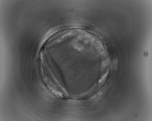 X0000091960198200709271353