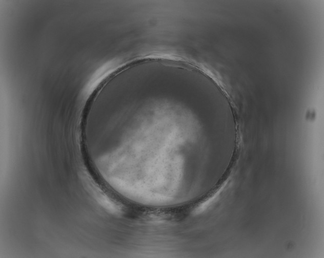 X0000091960199200709271353