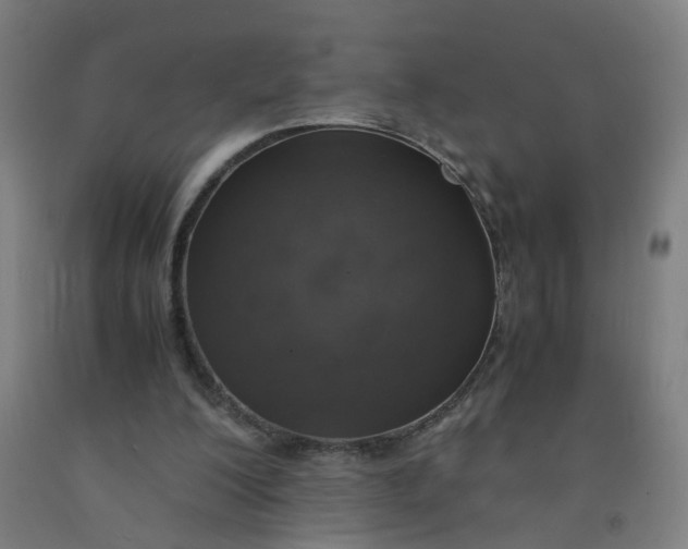 X0000091960200200709271353