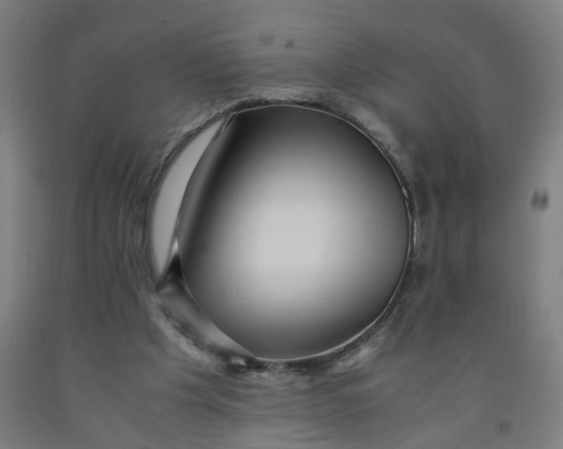 X0000091960201200709271353