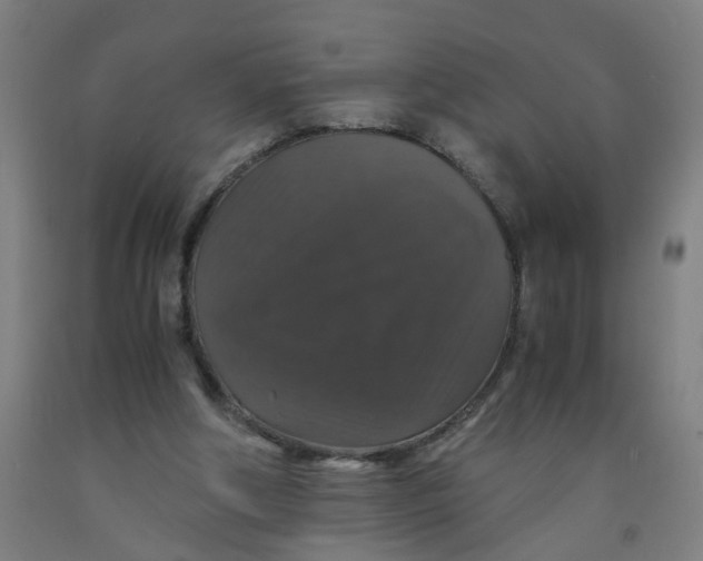 X0000091960202200709271353