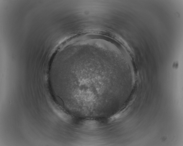 X0000091960203200709271353