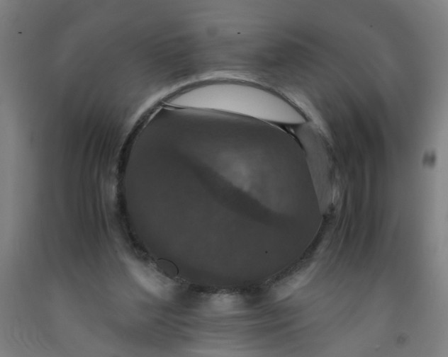 X0000091960204200709271353