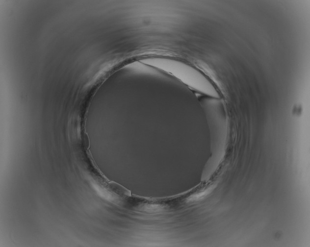 X0000091960205200709271353