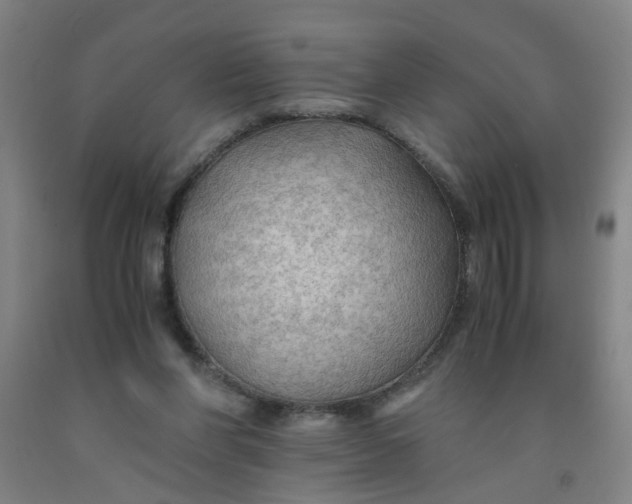 X0000091960206200709271353