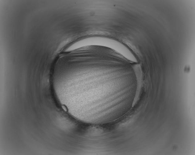 X0000091960207200709271353