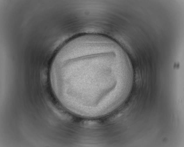 X0000091960208200709271353