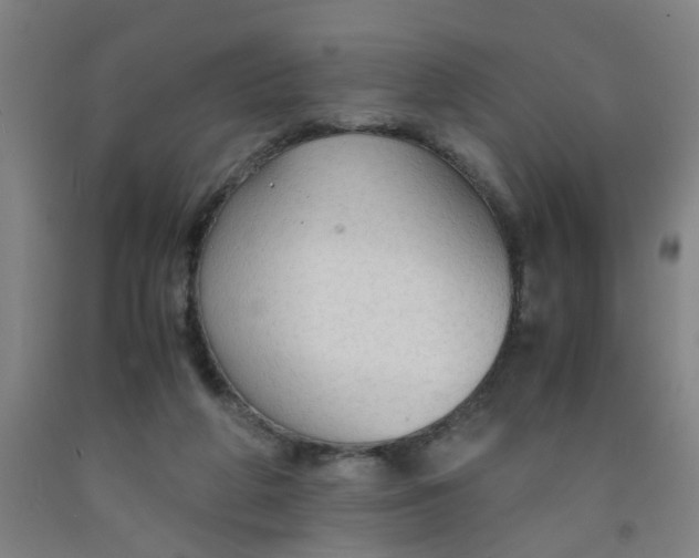 X0000091960210200709271353