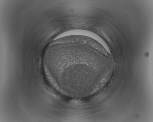 X0000091960211200709271353