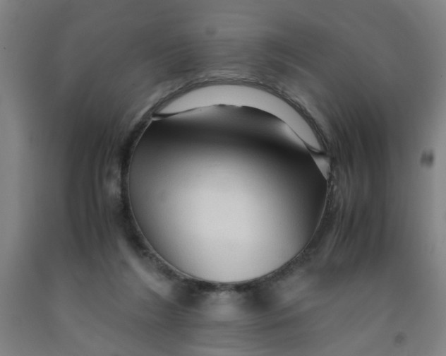 X0000091960212200709271353