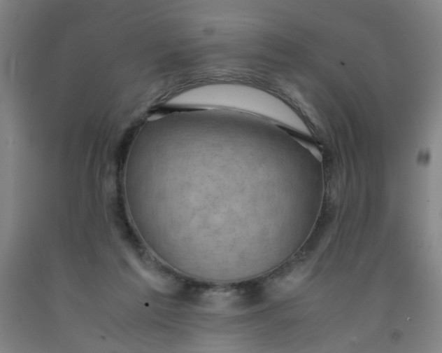 X0000091960213200709271353