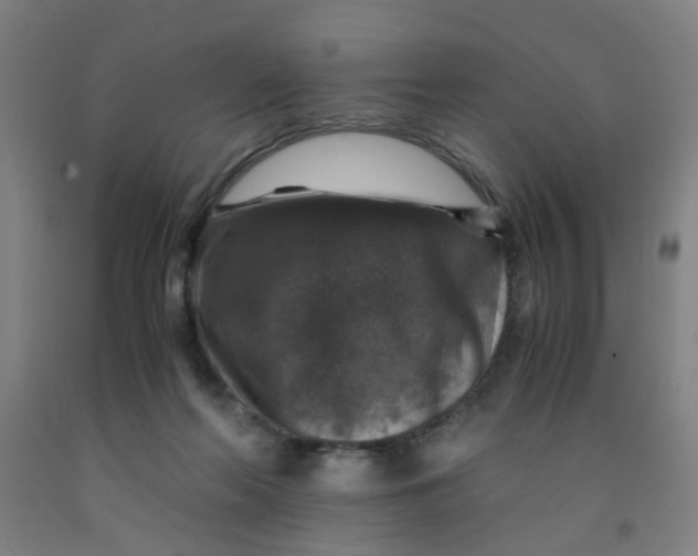 X0000091960214200709271353