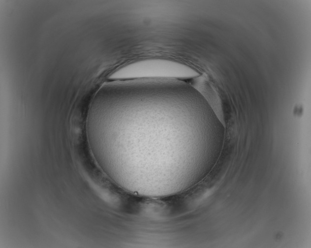 X0000091960215200709271353