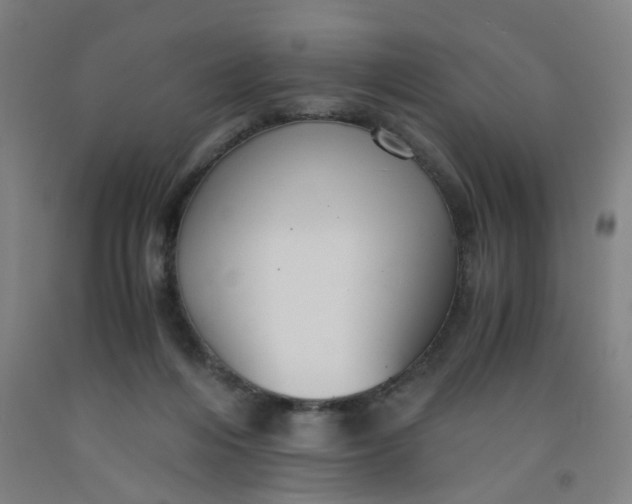 X0000091960216200709271353