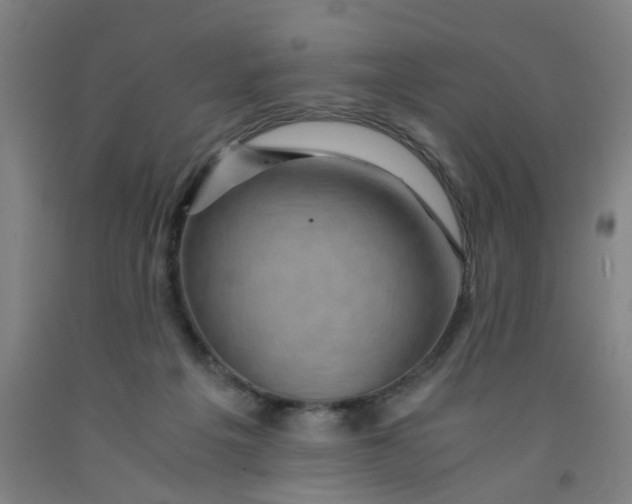 X0000091960217200709271353