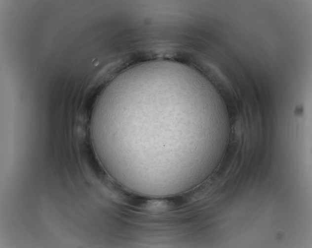 X0000091960218200709271353