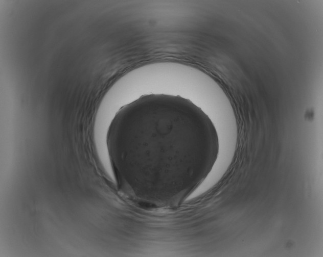 X0000091960219200709271353