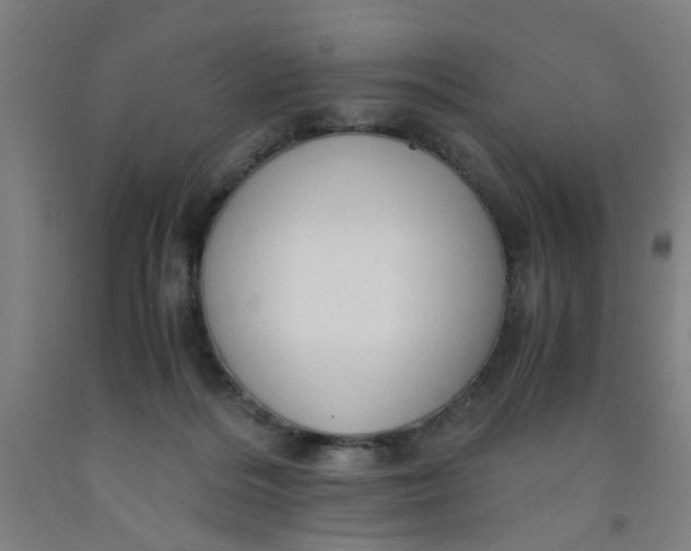 X0000091960220200709271353