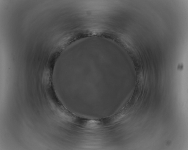 X0000091960222200709271353