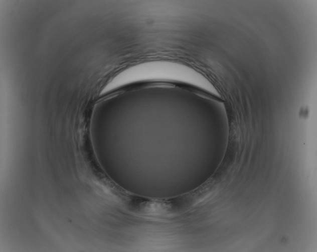 X0000091960223200709271353