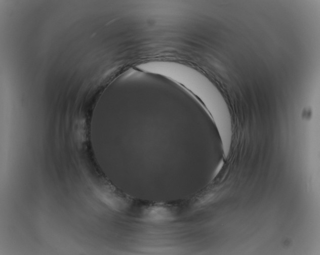 X0000091960224200709271353