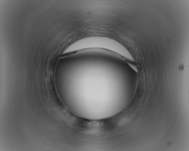 X0000091960225200709271353