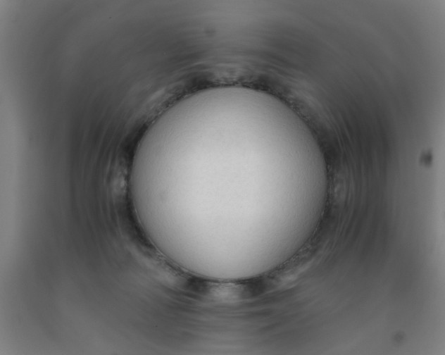 X0000091960226200709271353