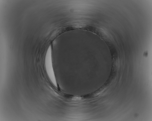 X0000091960227200709271353