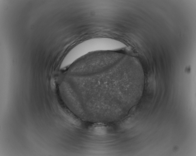 X0000091960228200709271353