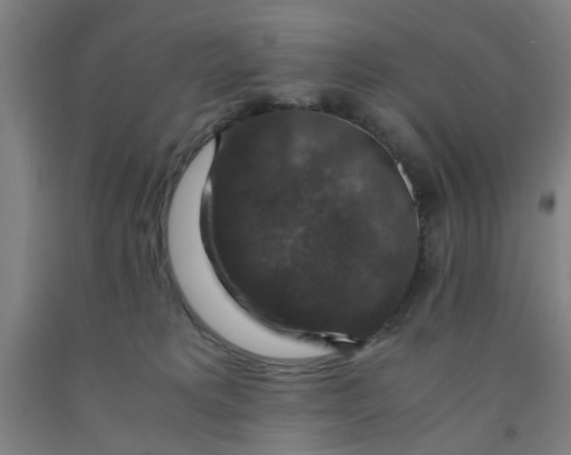 X0000091960229200709271353