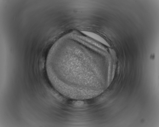 X0000091960230200709271353