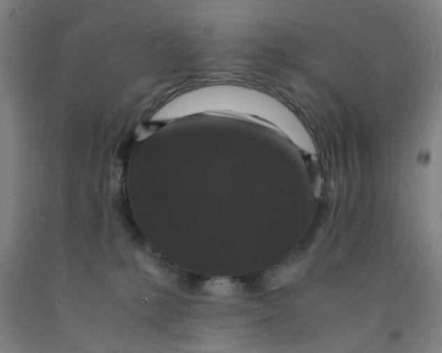 X0000091960231200709271353