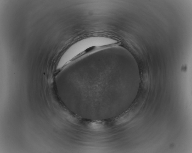 X0000091960232200709271353