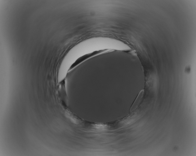 X0000091960233200709271353