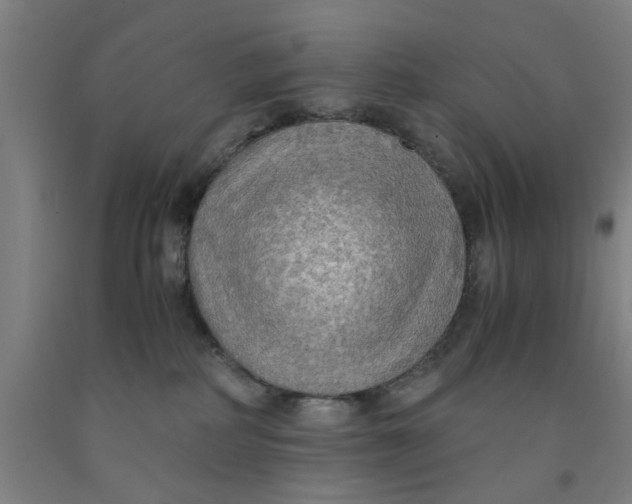 X0000091960234200709271353