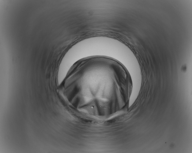 X0000091960235200709271353