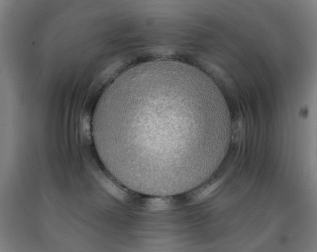 X0000091960238200709271353