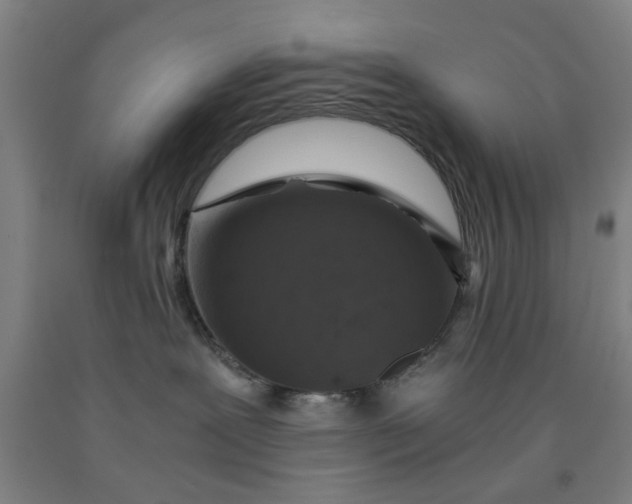 X0000091960239200709271353