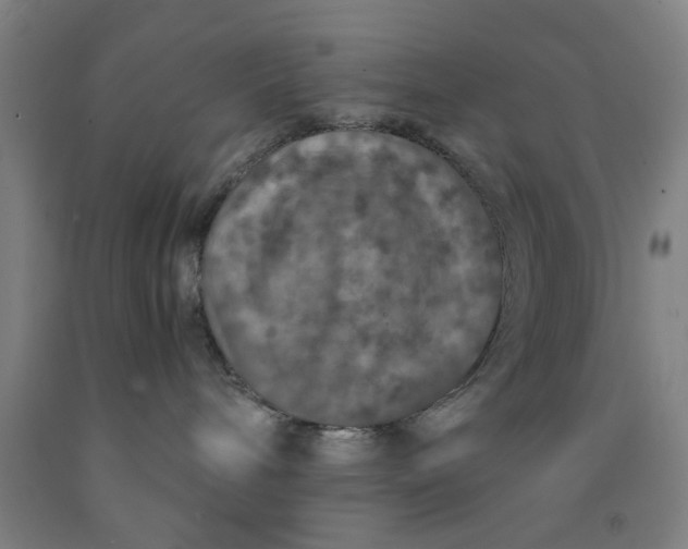 X0000091960240200709271353