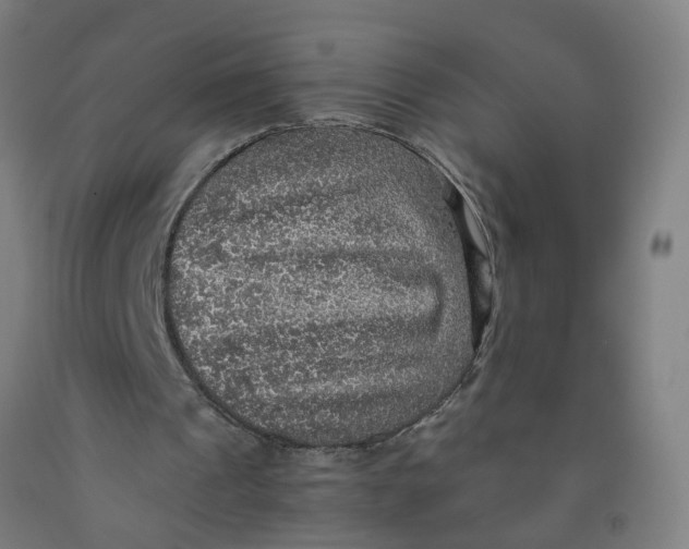 X0000091960241200709271352