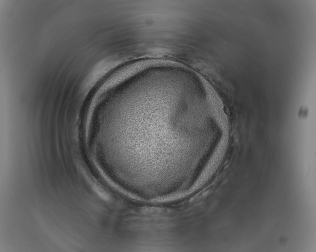 X0000091960242200709271352