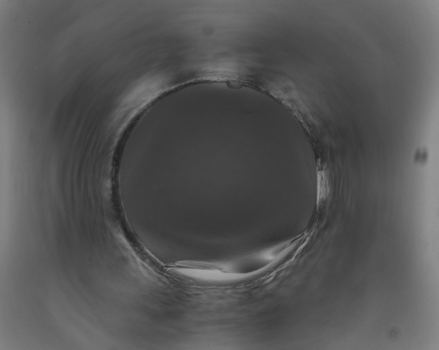 X0000091960243200709271352