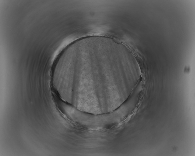 X0000091960244200709271352