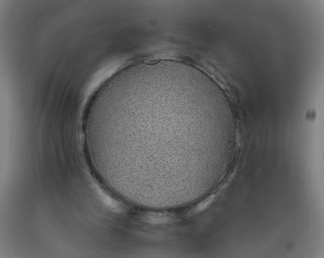 X0000091960245200709271352