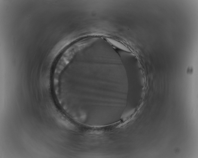 X0000091960247200709271352