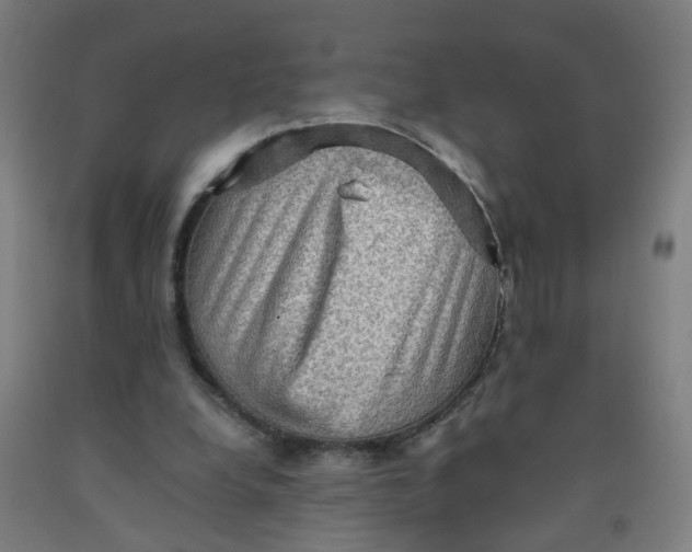 X0000091960248200709271352