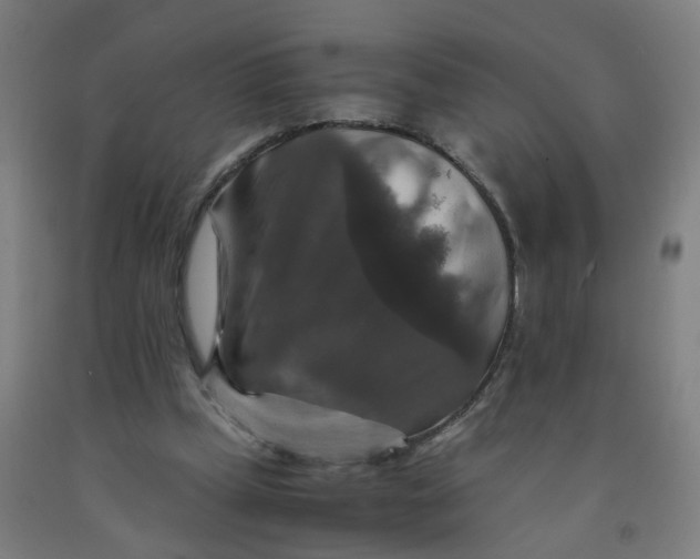 X0000091960249200709271352